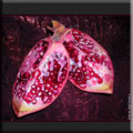 Granatapfel/Grenadine (Punica granatum) aufgeschnitten